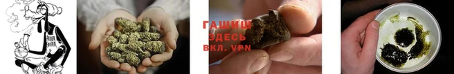 spice Переславль-Залесский