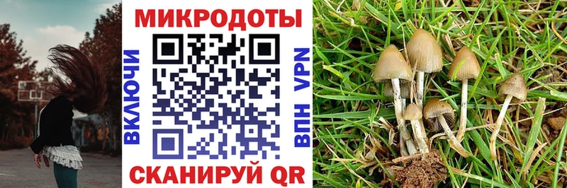 купить закладку  Терек  mega ссылки  Галлюциногенные грибы GOLDEN TEACHER 